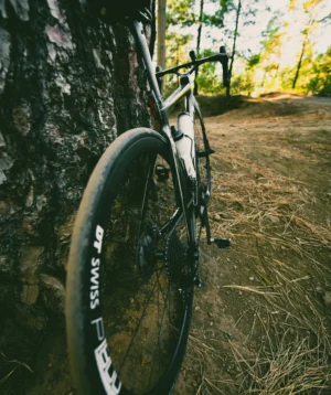 Road Bike Leaning Against a Tree at Las Lagunetas