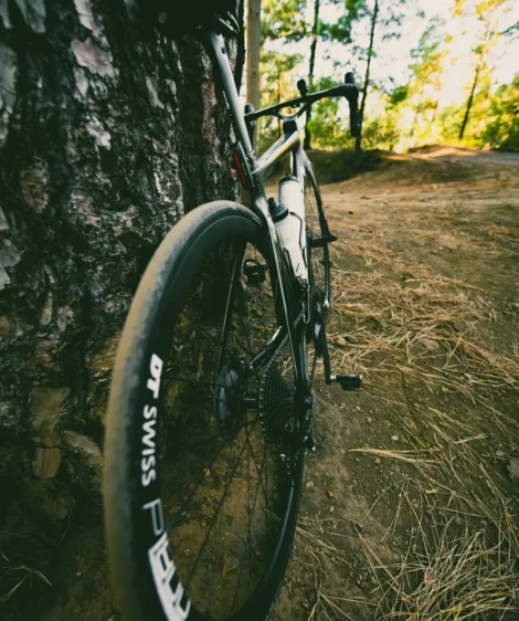 Road Bike Leaning Against a Tree at Las Lagunetas