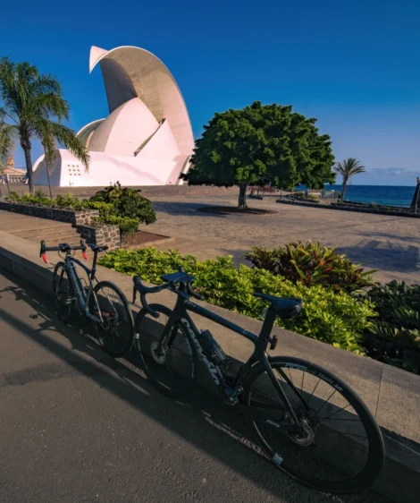 Bicycles Lined Up Along a Bustling City Sidewalk