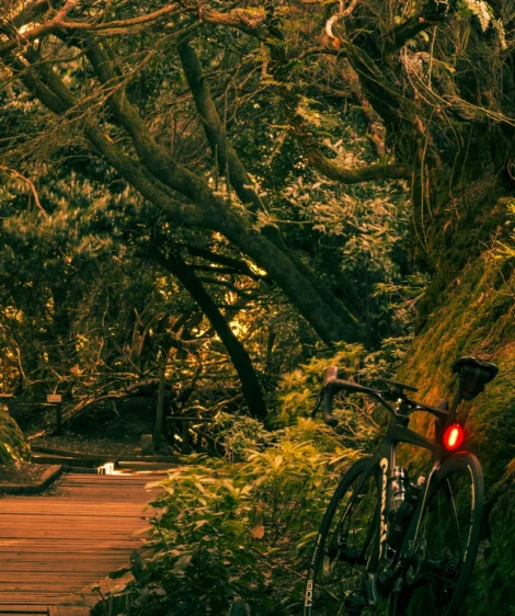 Road Bike Parked on a Wooden Bridge in Anaga Rural Park