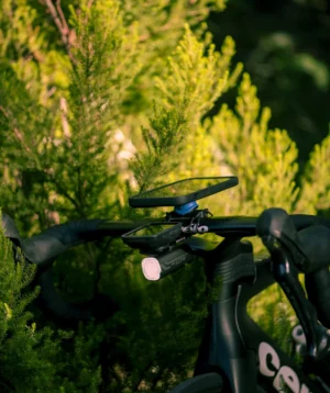Road Bike near a Tree in Anaga Mountains