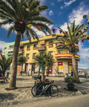Road Bike Parked in Front of a Building With Palm Trees