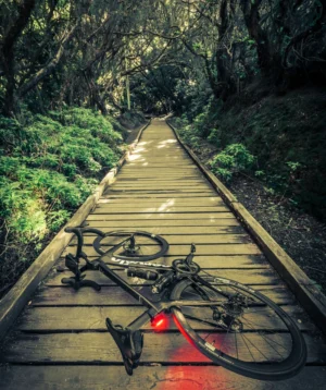 Wooden Bridge With a Road Bike on It