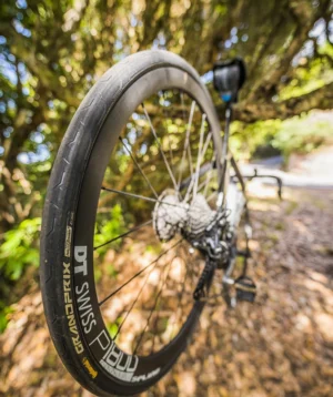 Road Bike Hanging on a Tree in Anaga Mountains