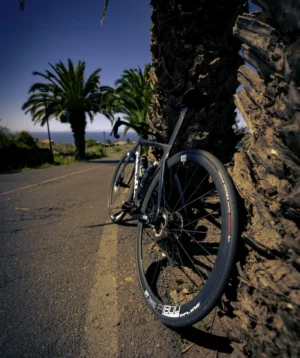 Road to Mesa del Mar with a Road Bike