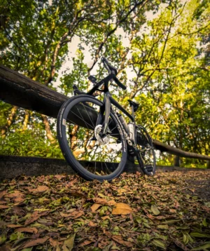 Road Bike in the Forest of Anaga