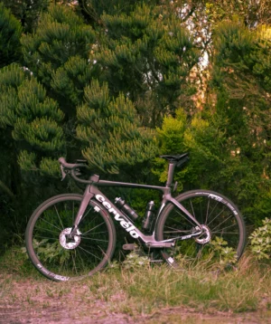 Road Bike Parked in Front of a Forest