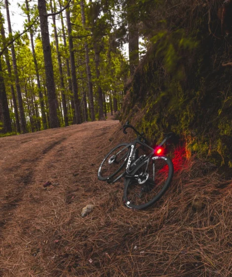 Road Bike Parked on a Dirt Path in the Woods