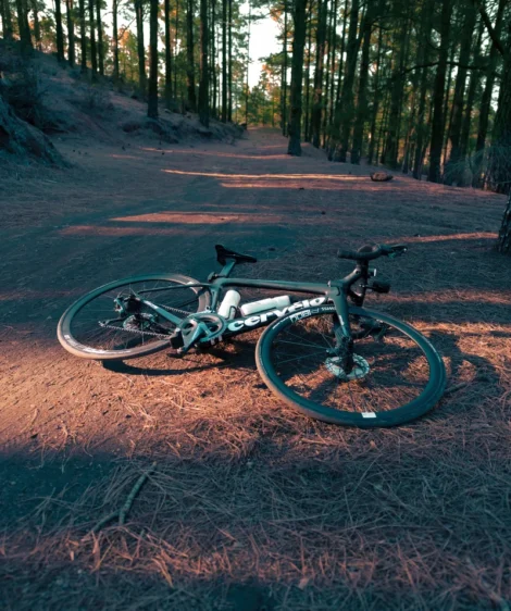Bike Resting in the Pine Forest of Teide National Park