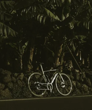 Road Bike Parked Near a Banana Tree