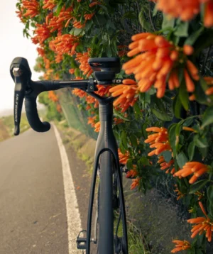 Road Bike Parked Next to a Wall Full of Flowers
