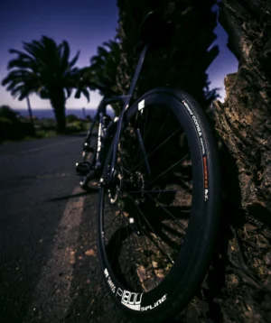 Road Bike Leaning Against a Palm Tree Near Mesa del Mar