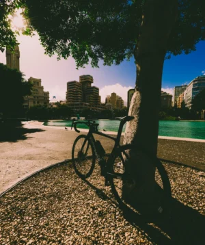 Road Bike Parked on a Tree in Santa Cruz de Tenerife
