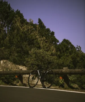 Road to Chamorga