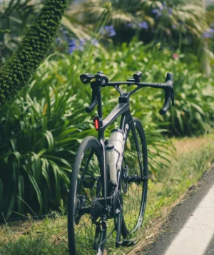 Road Bike Parked in a Grassy Area