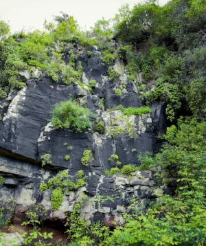 Rocky Cliff With Moss Growing on It