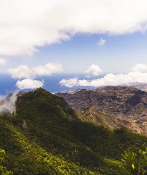 Landscape With Hills and Trees