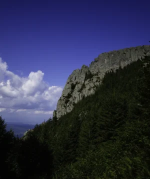 Large Rock Cliff With Trees on It