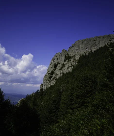 Large Rock Cliff With Trees on It