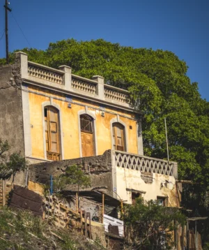 Building With Trees Around It