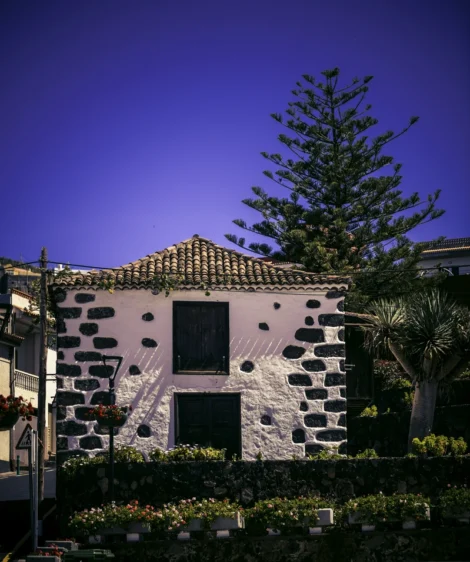 House With Tree in the Front