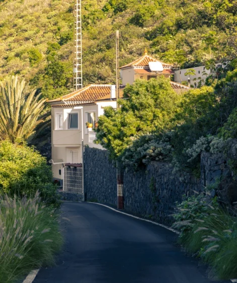 Road With Building and Trees on the Side