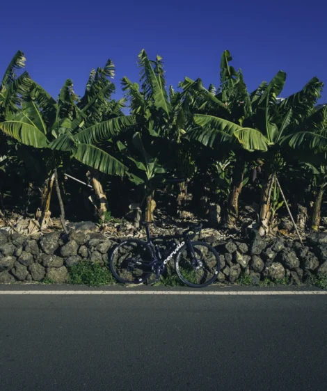 Bicycle Parked on the Side of Road
