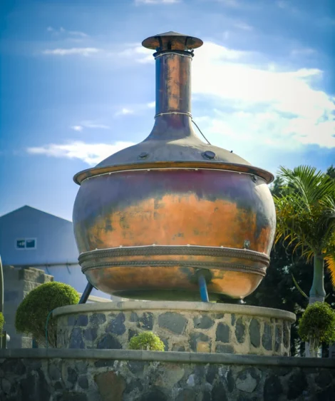 Large Water Fountain