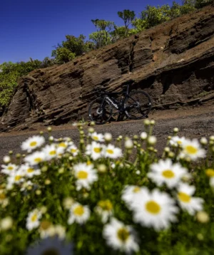 Bicycle Parked on Hill