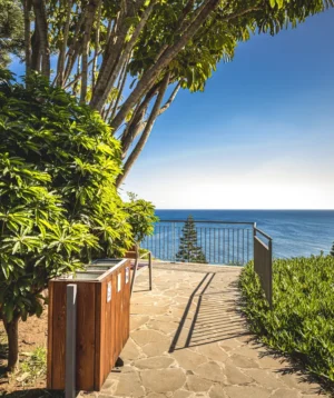 Path With Trees and Body of Water in the Background