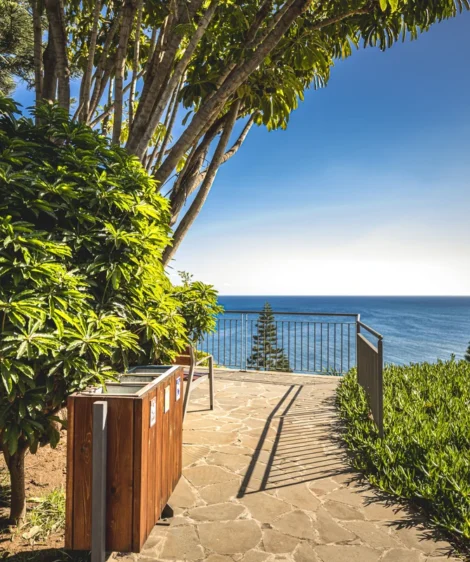 Path With Trees and Body of Water in the Background