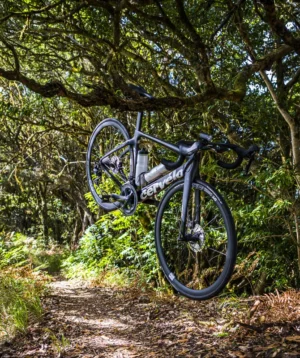 Bicycle Parked in Wooded Area