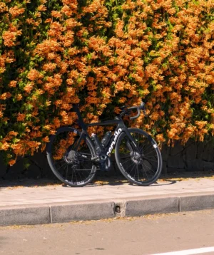 Bicycle Parked on the Side of Road