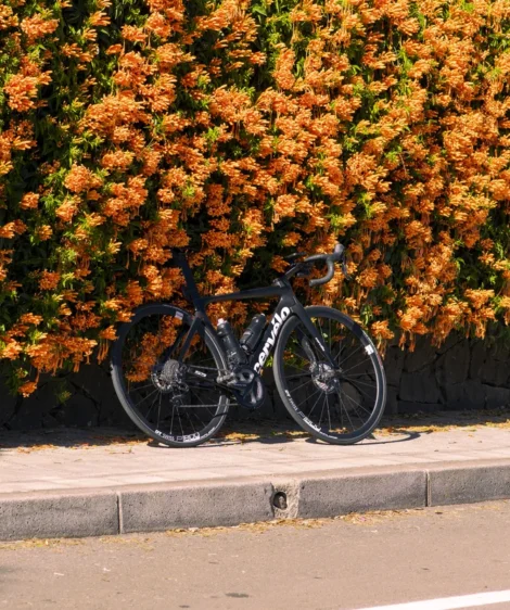 Bicycle Parked on the Side of Road