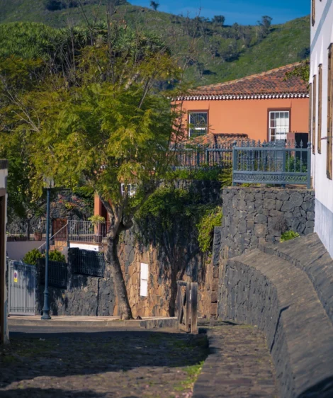 Stone Wall With Fence and Trees and Building in the Background