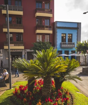 Courtyard With Few Buildings