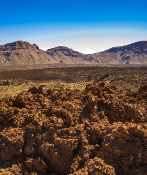 Desert Landscape With Mountains in the Background