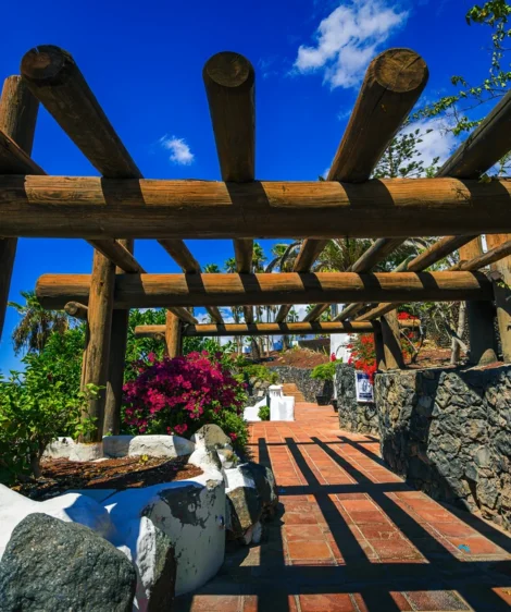 Wooden Bridge Over Garden