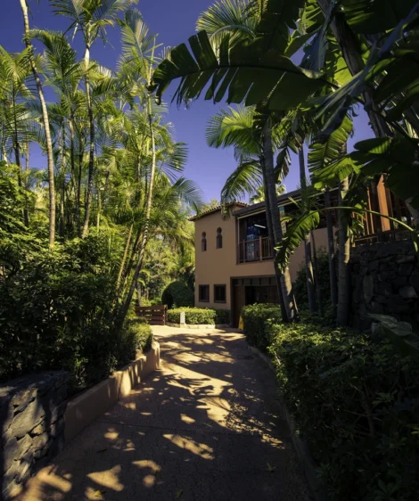 Path With Palm Trees and Building in the Background