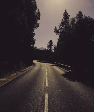 Road With Trees on the Side