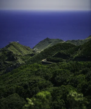 Landscape With Trees and Water in the Background