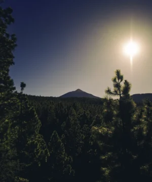 Mountain in the Distance