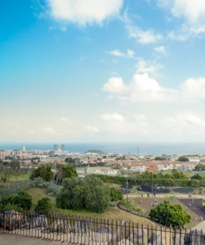 City With Trees and Fence