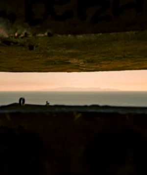 Couple of Animals Stand Near Each Other