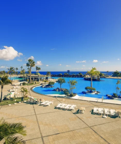 Pool With Chairs and Lounge Chairs by It and Palm Trees