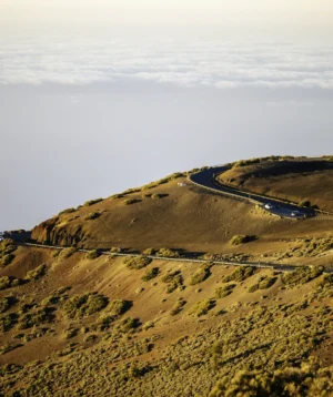 Landscape With Hills and Road
