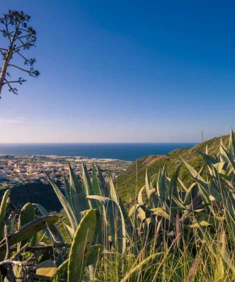 View of City From Hill