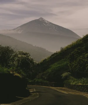 Road Leading to Mountain