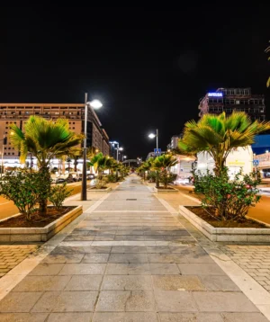 Street With Palm Trees and Buildings