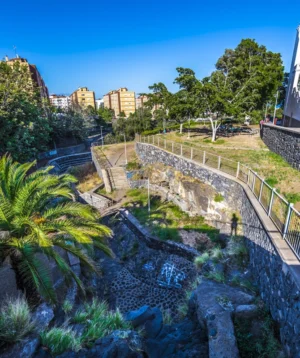 Stone Wall With Fence and Trees and Buildings in the Background